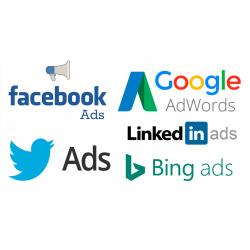 Paquete Básico SEM*