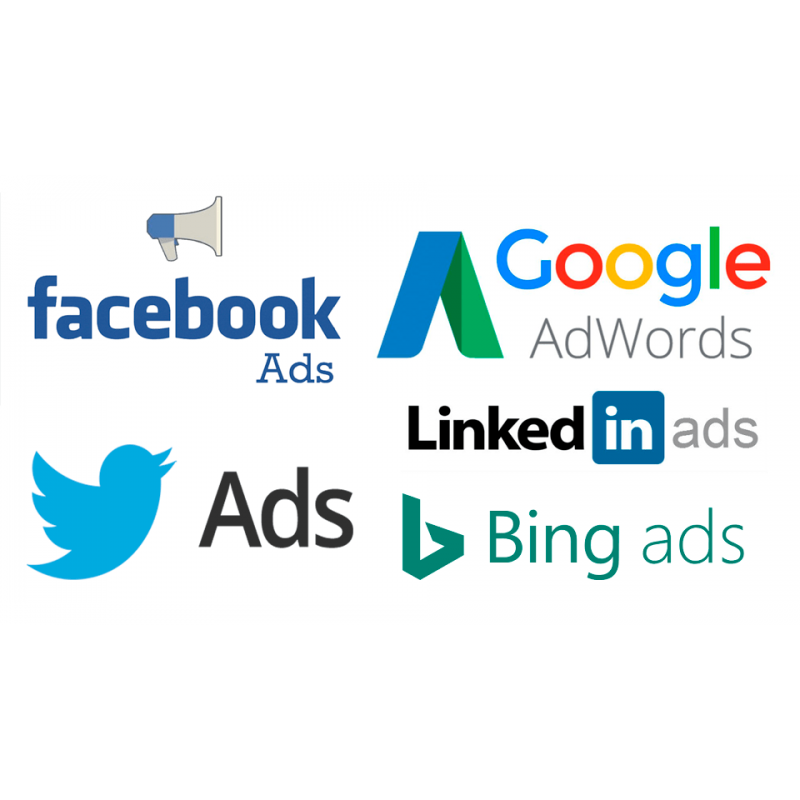 Paquete Básico SEM*