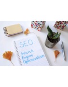 SEO - Posicionamiento Web Orgánico | Prensa y Media